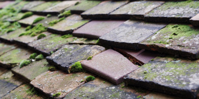 Lower Dean roof repair costs
